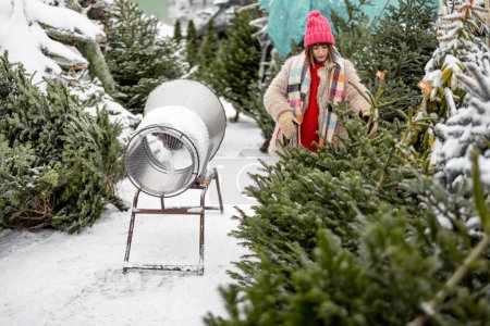 Foto de Young woman chooses Christmas tree at outdoor market, preparing for winter holidays. Concept of shopping on New Years holidays - Imagen libre de derechos