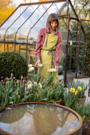 Photo for Portrait of a young woman as florist standing in beautiful garden with potted flowers, green plants and vintage greenhouse on background. Concept of hobby and gardening - Royalty Free Image