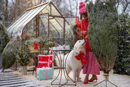 Téléchargez les photos : Jeune femme en rouge joue avec son adorable chien tout en décorant arrière-cour avec un arbre de Noël lors d'une chute de neige. Concept de vacances d'hiver heureuses et décoration - en image libre de droit