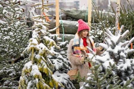 Photo for Young woman chooses Christmas tree at outdoor market, preparing for winter holidays. Concept of shopping on New Years holidays - Royalty Free Image