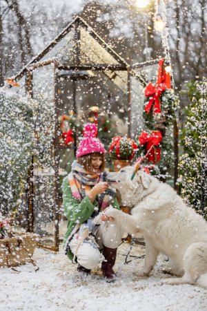 Foto de Mujer linda joven juega con un perro adorable en el patio trasero bellamente decorado durante el tiempo nevado. Concepto de felices vacaciones de invierno - Imagen libre de derechos