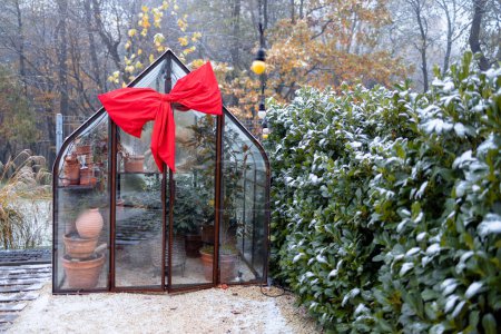 Photo for Vintage greenhouse decorated with red bow during winter time at backyard - Royalty Free Image