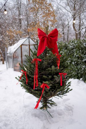Foto de Árbol de Navidad decorado con arcos rojos en el patio trasero cubierto de nieve - Imagen libre de derechos