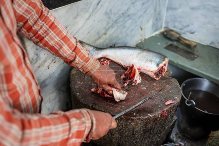 Foto de Corte de pescado fresco en la tienda minorista para la venta al día desde diferentes ángulos - Imagen libre de derechos