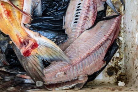 Fischabfälle im Einzelhandel zur Entsorgung am Tag aus einem anderen Blickwinkel