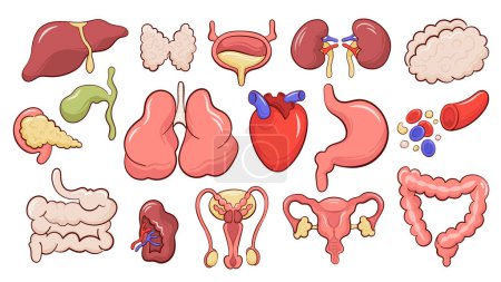 Set of isolated icons with  different human internal organs cartoon style