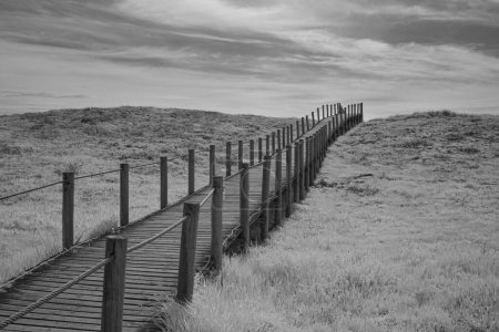 Photo for Coastal sand dune walkway, north of Portugal. Used infrared filter. Converted black and white. - Royalty Free Image