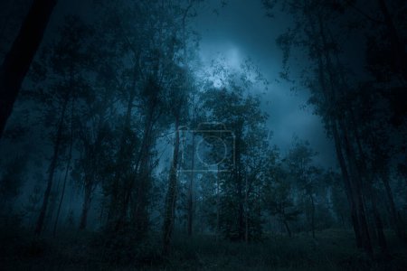 Cloudy and foggy full moon night in the woods