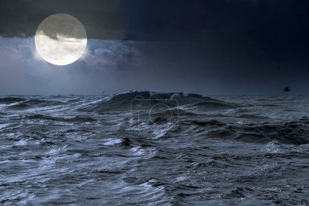 Téléchargez les photos : Paysage marin dans une nuit de pleine lune - en image libre de droit