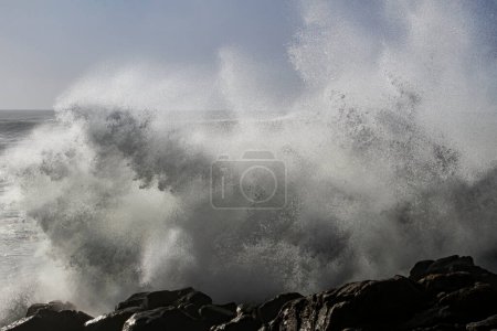 Huge wave splash. Northern portuguese rocky coast.