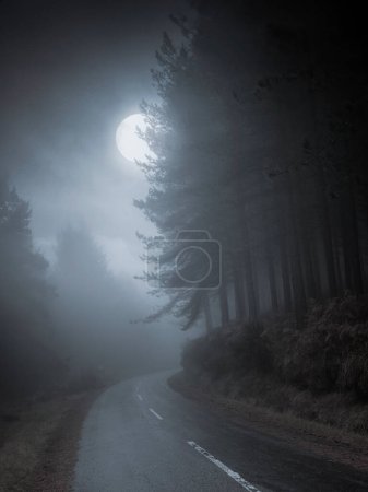 Mystérieuse route de montagne qui traverse la forêt par une nuit de pleine lune