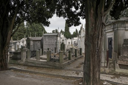Old mysterious and peaceful european cemetery