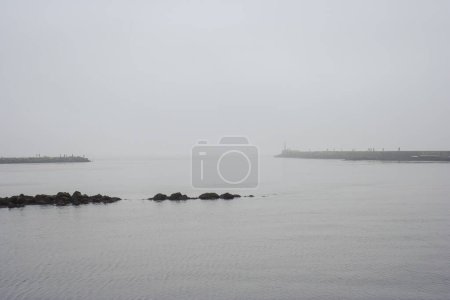 Foto de Ave desembocadura del río, un buen punto de pesca. Costa norte portuguesa en una mañana brumosa. - Imagen libre de derechos
