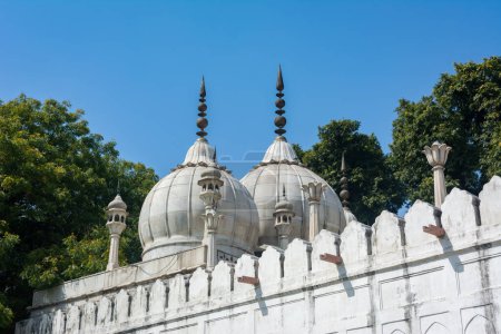 Moti Masjid à Red Fort, Delhi, Inde. Site du patrimoine mondial de l'UNESCO