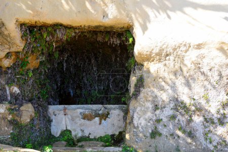 Téléchargez les photos : Les grottes de Zungri : Établissement rocheux vibo valentia calabre italie - en image libre de droit