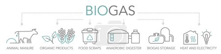 Biogas concept. Keywords and editable thin line vector icons two-tone