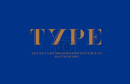 Elegant alphabet serif decorative font, classic fashion uppercase letters and numbers, vector illustration 10EPS
