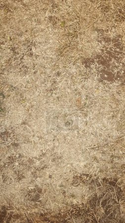 Photo for A captivating aerial perspective of a dry grass field, a stark and serene natural landscape, captured from above - Royalty Free Image