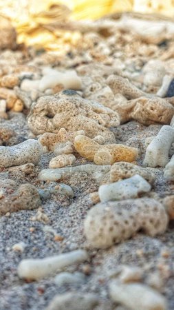 Photo for Nature's artwork: a cluster of weathered coral rocks resting on the sandy beach, a testament to the enduring beauty of the coastline - Royalty Free Image