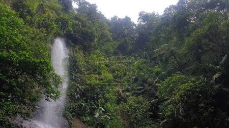 Ein atemberaubender Wasserfall, der eine felsige Klippe hinunterfällt, umgeben von üppiger grüner Vegetation. Perfekt für Themen wie Natur, Ruhe und Schönheit im Freien