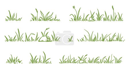 Illustration for Grass doodle sketch style set. Hand drawn green grass field outline scribble background. Sprout, flower, clover elements. Vector illustration. - Royalty Free Image