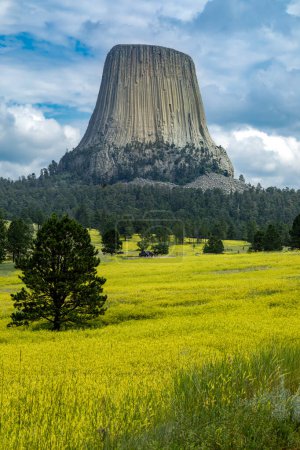 Téléchargez les photos : Après-midi d'été au Devil's Tower National Monument dans l'État du Wyoming aux États-Unis, entouré de fleurs sauvages de trèfle jaune et de nuages spectaculaires dans le ciel, orientation verticale - en image libre de droit