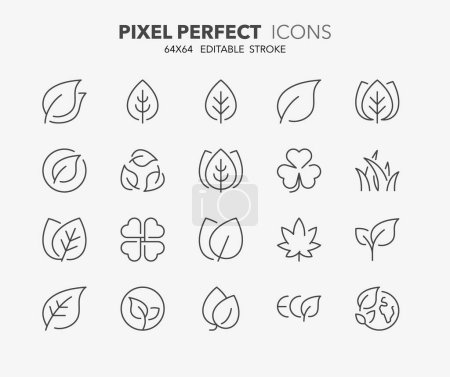 Cienkie ikony zestawu liści. Zarys kolekcji symboli. Edytowalny skok wektora. 64x64 pikseli idealny.