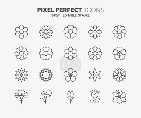 Set of flowers, thin line icons. Editable vector stroke. 64x64 Pixel Perfect.