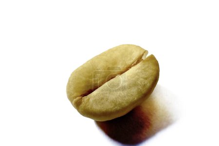 Photo for Coffee substance Thai Arabica and Robusta  fully washed process for home roasting green coffee bean Isolated White Background - Royalty Free Image
