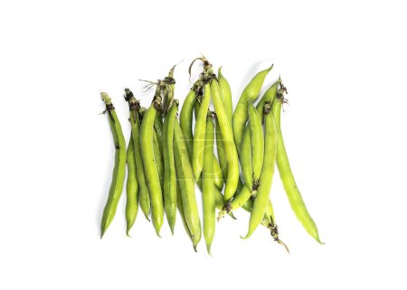 Broad Beans Isolated On White Background