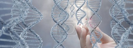 Das Konzept der Untersuchung von DNA-Molekülen auf ihre Zerstörung und ihren Zerfall.