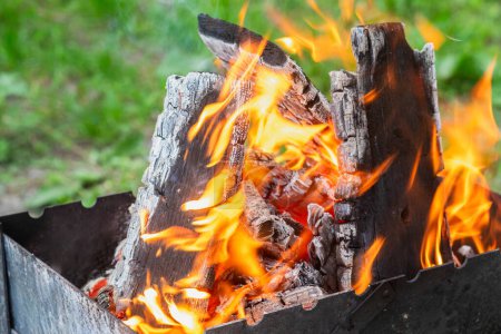 Carbón y leña ardiendo en una parrilla sobre un fondo borroso.
