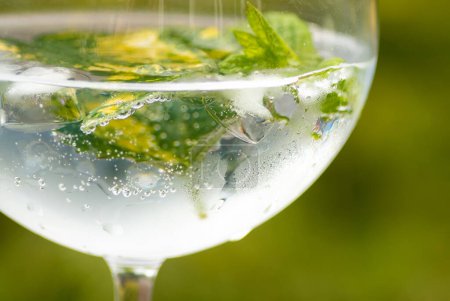 Nahaufnahme eines großen Gin Tonic Glases mit Eis, Minze und Zitronenmelisse, bedeckt mit Kondenswasser und grünem Laubhintergrund