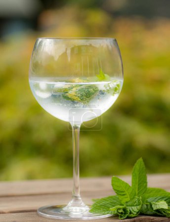 Téléchargez les photos : Vertical shot of a large gin and tonic glass containing ice, mint end lemon balm, covered in condensation with mint on the table and green foliage background - en image libre de droit