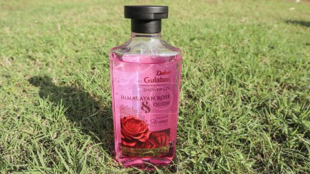 Photo for Dabur Gulabari Himalayan rose and Oudh fragrance Shower gel or Body wash in pink colour on Outdoor background - Royalty Free Image