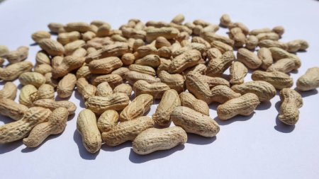 Peanuts with shell. Fresh groundnuts on white background