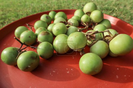 Frutas frescas de jujube indio apiladas. Ber o Bora fruta de la India