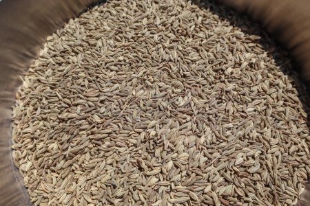 Top view of Fennel seeds also known as Saunf used in food or eaten raw as Mouth freshener, helps in Digestion and other health benefits