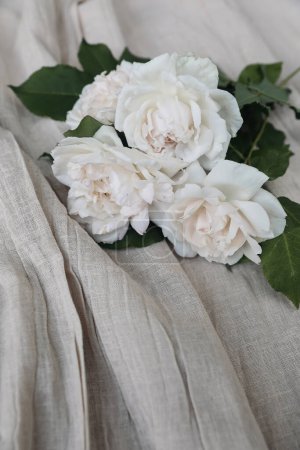 Photo for Beautiful pink nude colored roses on folded beige cotton throw, table cloth. Muslin fabric textile. Elegant wedding still life, web banner. Blurred background. Vertical floral composition, birthday. - Royalty Free Image