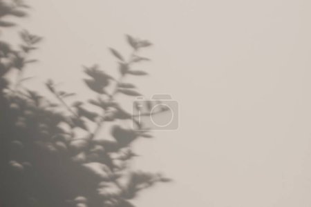 Photo for Aesthetic floral foliage shadow overlays on neutral beige wall background. Blurred tree branches, leaves silhouette in sunlight. Beutiful natural texture, minimal web banner, empty copy space, nobody. - Royalty Free Image
