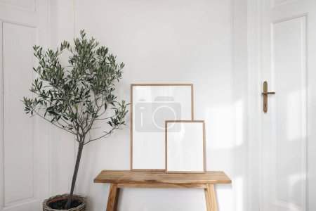 Photo for Rustic Scandinavian interior, Living room, hall in old house with wooden bench. Two picture frame mockups in sunlight. White wall, doors, olive tree in basket. Summer Mediterrranean home design. - Royalty Free Image
