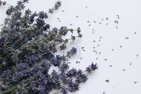 Photo for Blooming purple lavender isolated on white table background. Dry lavandula bouquet. Summer floral web banner. Medicinal herbal texture, selective focus. Flat lay, top view, closeup of fragrant flowers - Royalty Free Image
