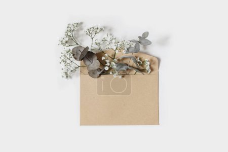 Photo for Elegant flowers and green leaves in open craft paper envelope isolated on white table background. Gypsophila, eucalyptus twigs growing from envelope. Copy space, flat lay, top view, floral birthday - Royalty Free Image