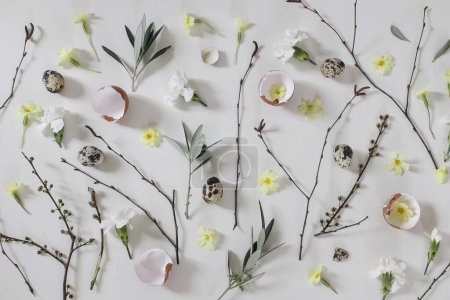 Photo for Easter floral composition. Yellow primrose, white carnation flowers. Birch, olive tree branches, willow catkins twigs. Quail, hen eggs shells isolated on white table background. Spring flat lay. Top - Royalty Free Image