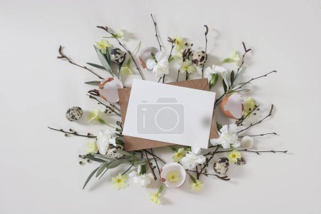 Photo for Spring greeting card, Easter invitation mockup. Primrose, white carnation flowers. Birch, olive tree branches, willow catkins twigs. Quail, hen eggs isolated on white table background, floral flat lay - Royalty Free Image