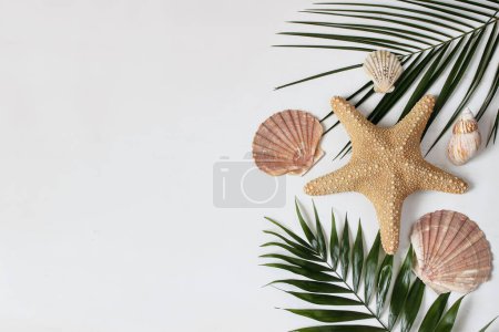 Photo for Composition of exotic seashells, oysters, starfish. Lush green palm leaves isolated on shabby white wooden background. Tropical summer vacation, nature concept. Flat lay, top view, empty copy space. - Royalty Free Image