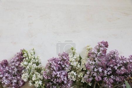 Photo for Purple and white lilacs flowers. Blooming tree branches of Syringa vulgaris on blurred white shabby wooden surface. Old table background. Floral frame, banner, spring flat lay, top view. Studio shot. - Royalty Free Image