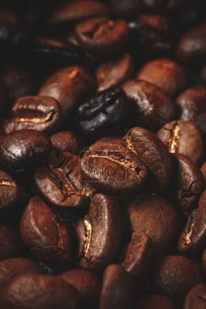 Téléchargez les photos : Vue rapprochée des graines de café sur la surface sombre groupe de grains texturés de cacao - en image libre de droit