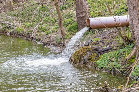 Foto de Agua limpia que fluye de una tubería a un estanque rodeado de vegetación silvestre, sistema para controlar los altos niveles de arroyos y evitar inundaciones, Reserva Natural Strijthagerbeekdal, Zuid Limburg, Países Bajos - Imagen libre de derechos