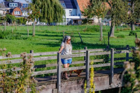 Téléchargez les photos : Promeneuse aînée debout avec son chien sur une passerelle piétonne en bois qui contemple la rivière Jeker, l'esplanade verte et les maisons en arrière-plan flou, journée d'été ensoleillée à Kanne, Riemst, Belgique - en image libre de droit